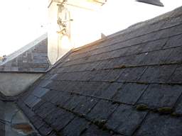 fkillineybeforeexternal 1425.jpg